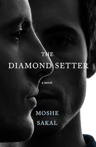 The Diamond Setter: A Novel The Diamond Setter: A Novel von Other Press