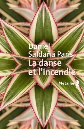 La danse et l'incendie von METAILIE
