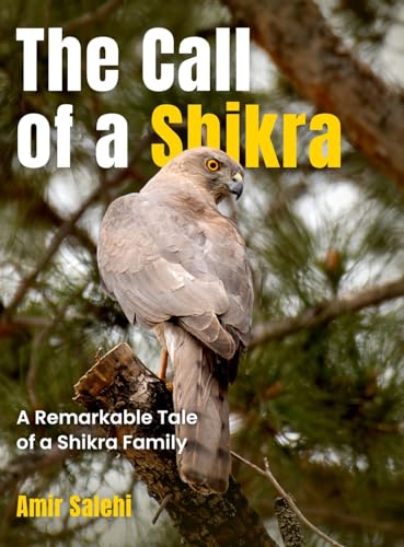 The Call of a Shikra: The Astonishing Story of a Shikra Family: A Remarkable Tale of a Shikra Family