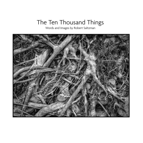 The Ten Thousand Things von New Sarum Press