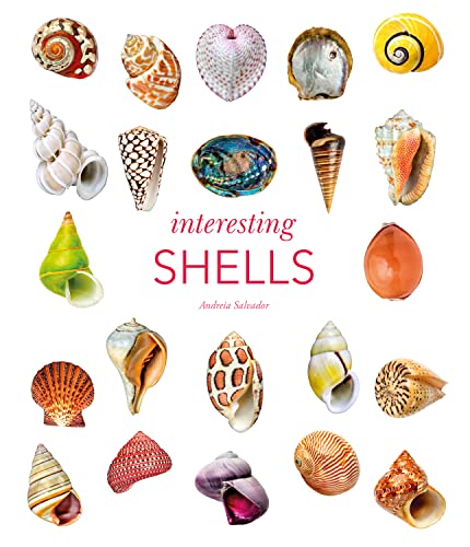 Interesting Shells von NHM