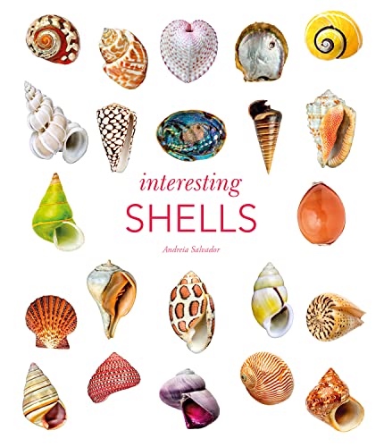 Interesting Shells