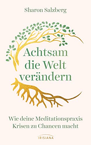 Achtsam die Welt verändern: Wie deine Meditationspraxis Krisen zu Chancen macht