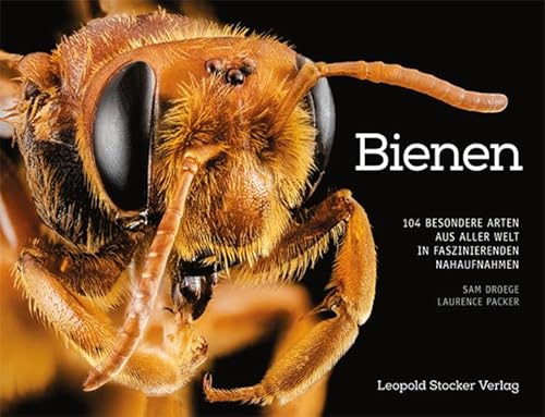 Bienen: 104 besondere Arten aus aller Welt in faszinierenden Nahaufnahmen von Stocker Leopold Verlag
