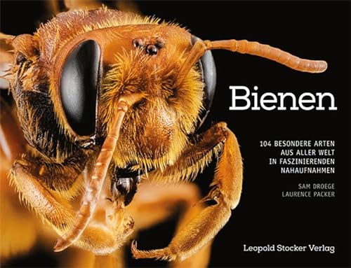 Bienen: 104 besondere Arten aus aller Welt in faszinierenden Nahaufnahmen
