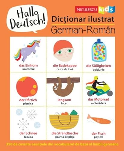 Hallo Deutsch! Dictionar Ilustrat German-Roman