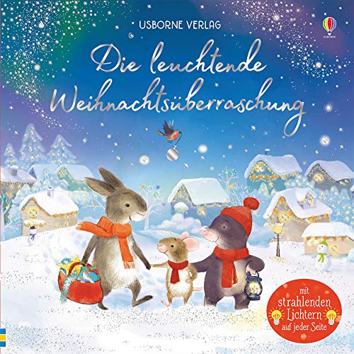 Die leuchtende Weihnachtsüberraschung: ab 6 Monaten (Meine leuchtenden Bilderbücher)