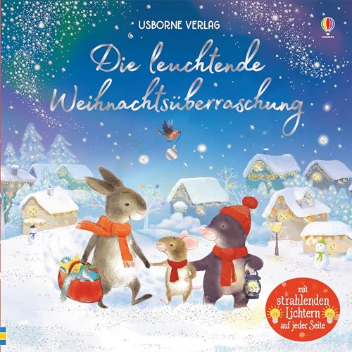 Die leuchtende Weihnachtsüberraschung: ab 6 Monaten (Meine leuchtenden Bilderbücher)