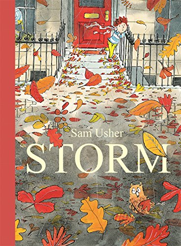 Storm Storm von Templar Publishing