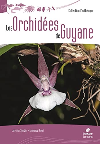 Les Orchidées de Guyane von BIOTOPE