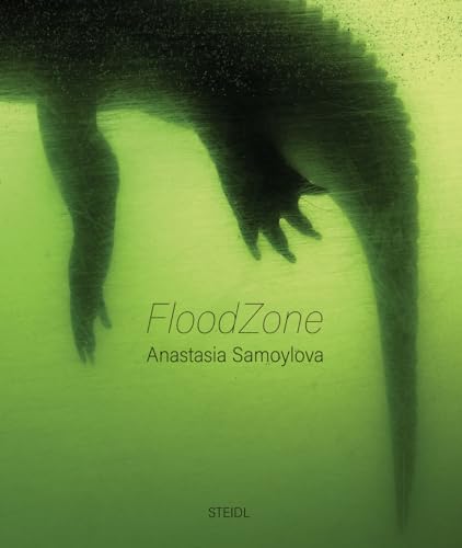 FloodZone von Steidl