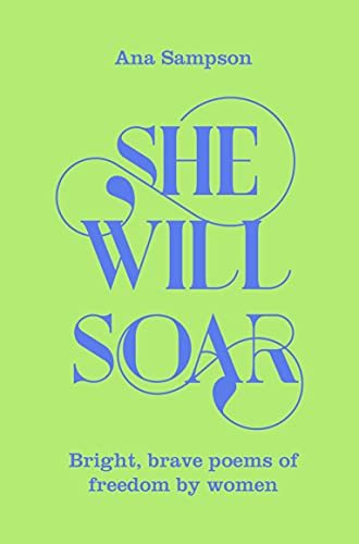 She Will Soar: Bright, Brave Poems about Freedom by Women von Macmillan Children's Books