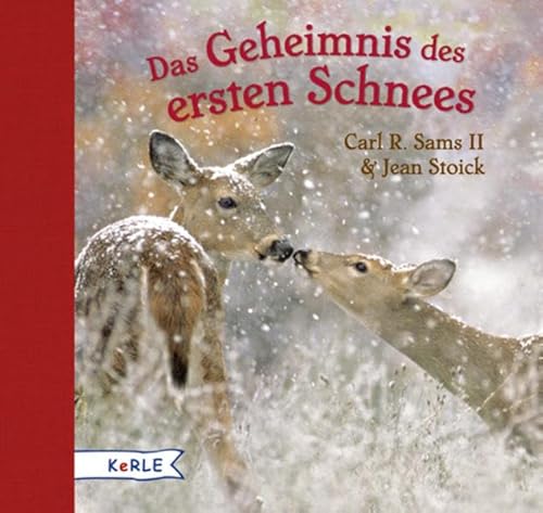 Das Geheimnis des ersten Schnees