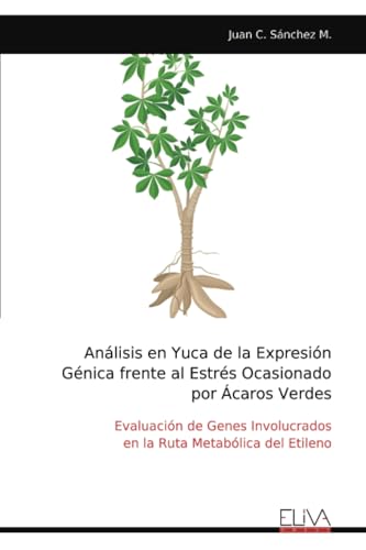Análisis en Yuca de la Expresión Génica frente al Estrés Ocasionado por Ácaros Verdes: Evaluación de Genes Involucrados en la Ruta Metabólica del Etileno Análisis en Yuca de la Expresión Génica frente al Estrés Ocasionado por Ácaros Verdes: Evaluación de Genes Involucrados en la Ruta Metabólica del Etileno von Eliva Press