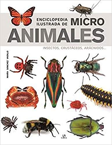 Enciclopedia Ilustrada de Micro Animales: Insectos, Crustáceos, Arácnidos... (Grandes Enciclopedias, Band 12) von Libsa