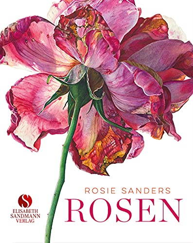 Rosen: Meisterin der Blumenkunst von Sandmann, Elisabeth