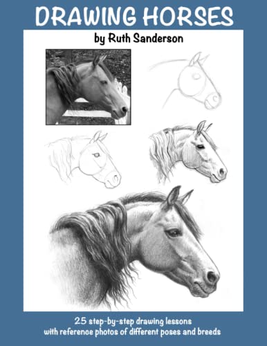 DRAWING HORSES