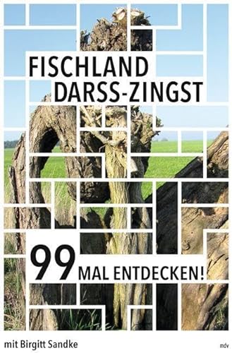 Fischland-Darß-Zingst 99 Mal entdecken!: Reiseführer von Mitteldeutscher Verlag