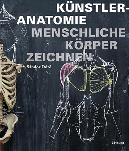 Künstleranatomie: Menschliche Körper zeichnen von Haupt Verlag AG