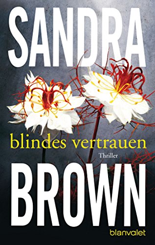 Blindes Vertrauen: Roman von Blanvalet