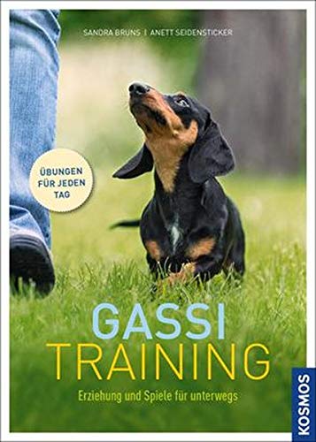 Gassi-Training: Erziehung und Spiele für unterwegs