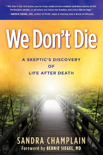 We Don't Die: A Skeptic's Discovery of Life After Death We Don't Die: A Skeptic's Discovery of Life After Death von Morgan James Publishing