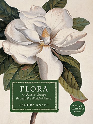Flora: An Artistic Voyage Through the World of Plants von The Natural History Museum