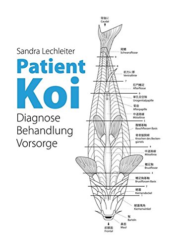 Patient Koi: Diagnose - Behandlung - Vorsorge von Kokoscha, Michael