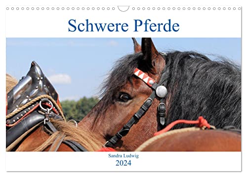 Schwere Pferde 2024 (Wandkalender 2024 DIN A3 quer), CALVENDO Monatskalender von CALVENDO