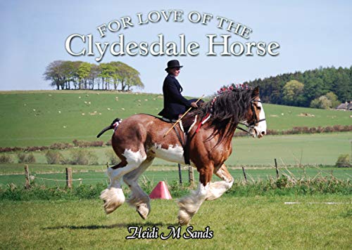 For Love of the Clydesdale Horse von Fox Chapel Publishing