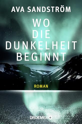 Wo die Dunkelheit beginnt: Roman