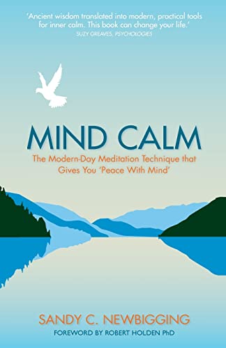 Mind Calm: The Modern-Day Meditation Technique that Proves the Secret to Success is Stillness: The Modern-Day Meditation Technique that Gives You 'Peace with Mind' von Hay House UK Ltd