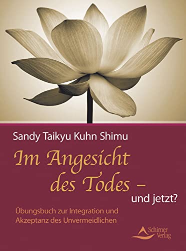 Im Angesicht des Todes - und jetzt?: Übungsbuch zur Integration und Akzeptanz des Unvermeidlichen