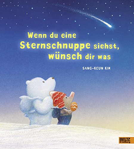 Wenn du eine Sternschnuppe siehst, wünsch dir was: Vierfarbiges Bilderbuch