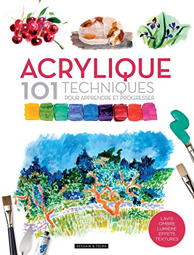 Acrylique 101 techniques pour apprendre et progresser von DESSAIN TOLRA