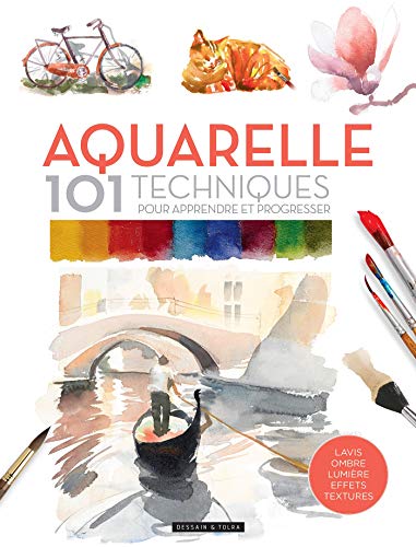 Aquarelle 101 techniques pour apprendre et progresser