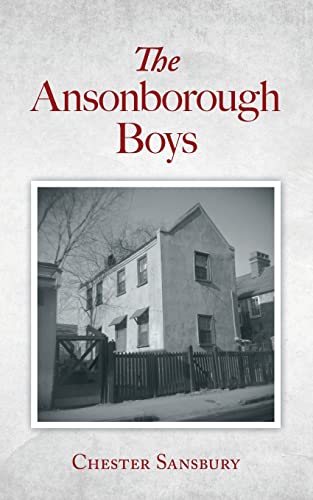 The Ansonborough Boys von Palmetto Publishing