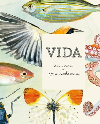 Vida. Bestiario ilustrado por Joana Santamans (Bridge, Band 4) von Bridge