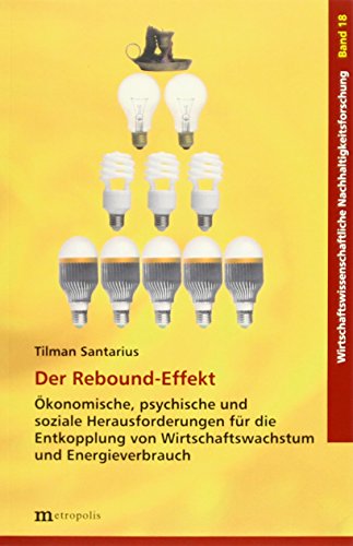 Der Rebound-Effekt: Ökonomische, psychische und soziale Herausforderungen für die Entkopplung von Wirtschaftswachstum und Energieverbrauch (Wirtschaftswissenschaftliche Nachhaltigkeitsforschung) von Metropolis