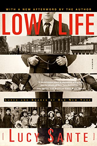 Low Life: Lures and Snares of Old New York von Farrar, Straus and Giroux
