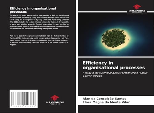 Efficiency in organisational processes: A study in the Material and Assets Section of the Federal Court in Paraíba von Our Knowledge Publishing