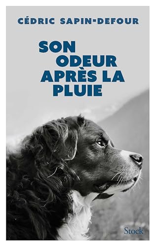 Son Odeur Après La Pluie von Stock