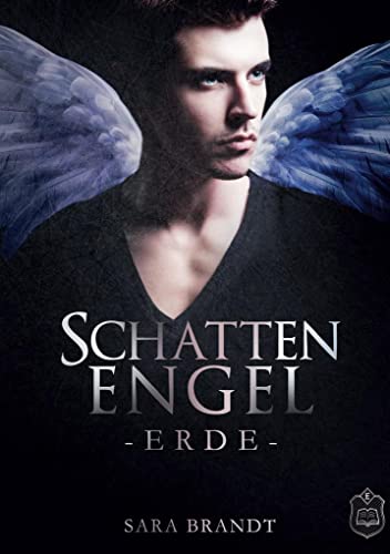 Schattenengel: Buch 1 - Erde