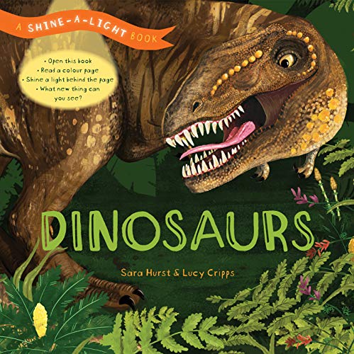 Shine a Light: Dinosaurs: A Shine-a-Light Book von The Ivy Press