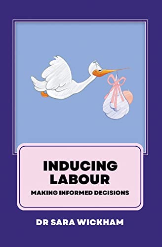Inducing Labour: making informed decisions von CREATESPACE