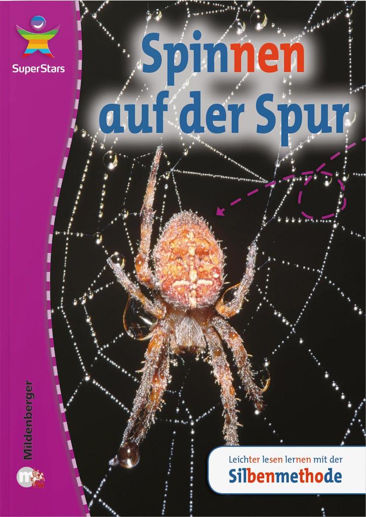 SuperStars - Sachtexte von Mildenberger Verlag GmbH