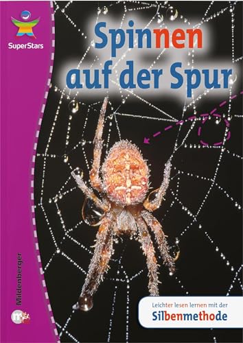 SuperStars: Spinnen auf der Spur