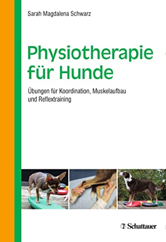 Physiotherapie für Hunde: Übungen für Koordination, Muskelaufbau und Reflextraining