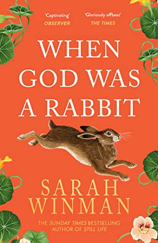 When God was a Rabbit: From the bestselling author of STILL LIFE von Headline