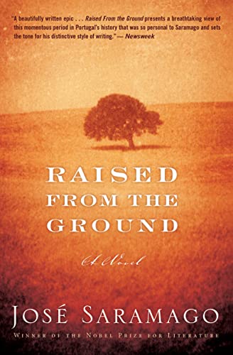 Raised from the Ground von Mariner